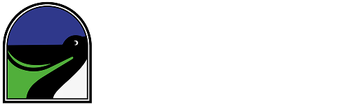 Daleo logo